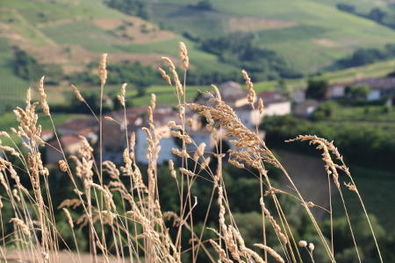 Beaujolais