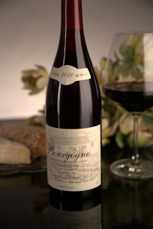 French Red Burgundy Wine, Domaine Boyer-Gontard 2010 Bourgogne Les Amerots