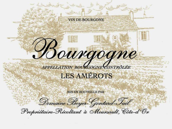 French Red Burgundy Wine, Domaine Boyer-Gontard 2010 Bourgogne Les Amerots